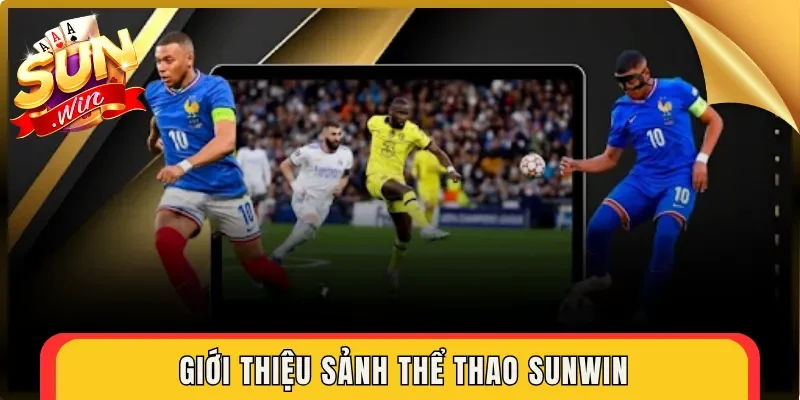Giới thiệu sảnh thể thao Sunwin