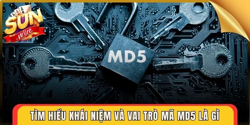Tìm hiểu khái niệm và vai trò mã MD5 là gì 